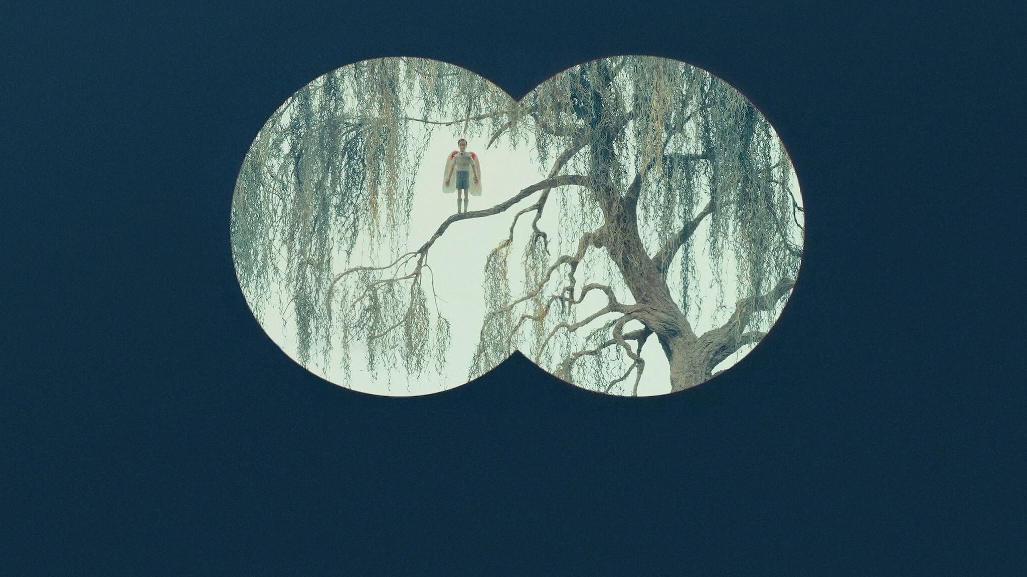 Il cigno - immagine