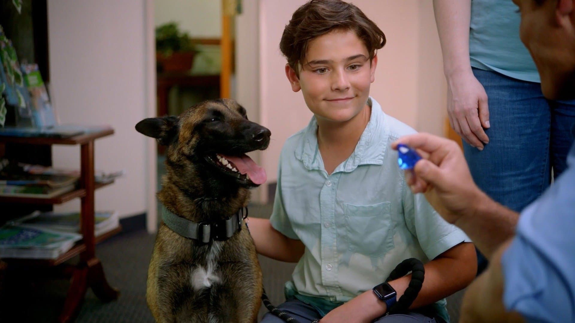 R.A.D.A.R.: The Adventures of the Bionic Dog - immagine