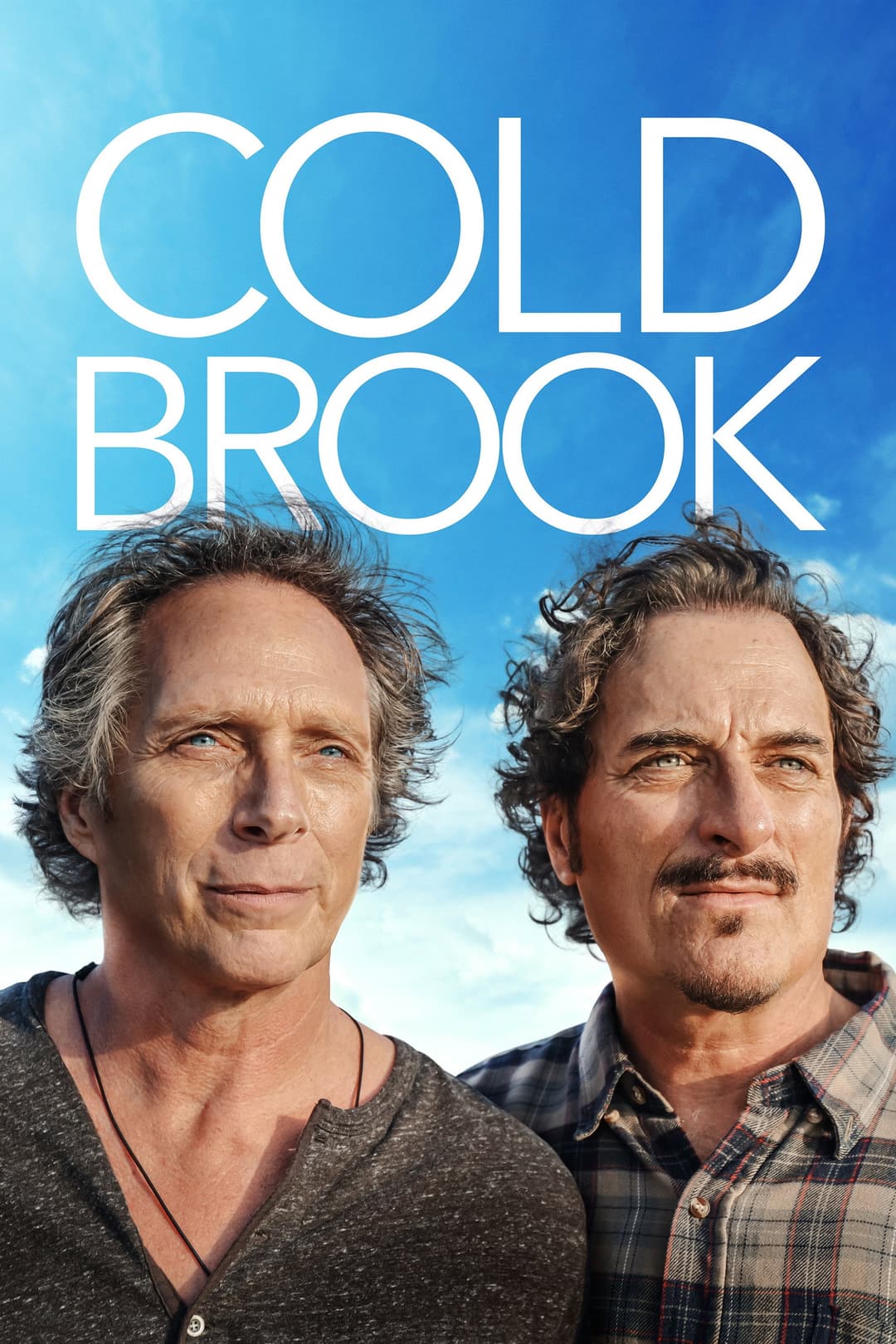 Poster di Cold Brook