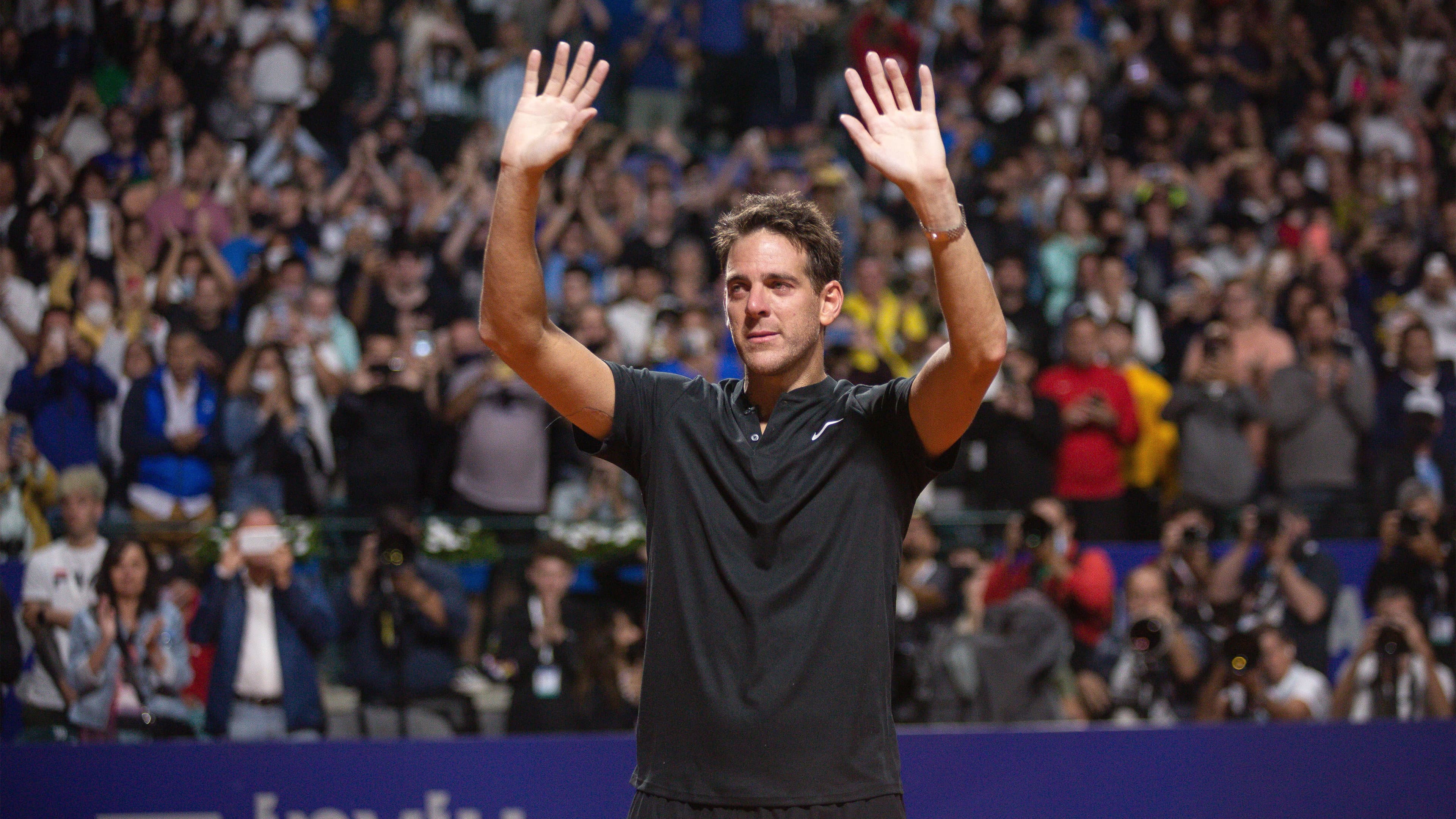 Del Potro, el último match point - immagine