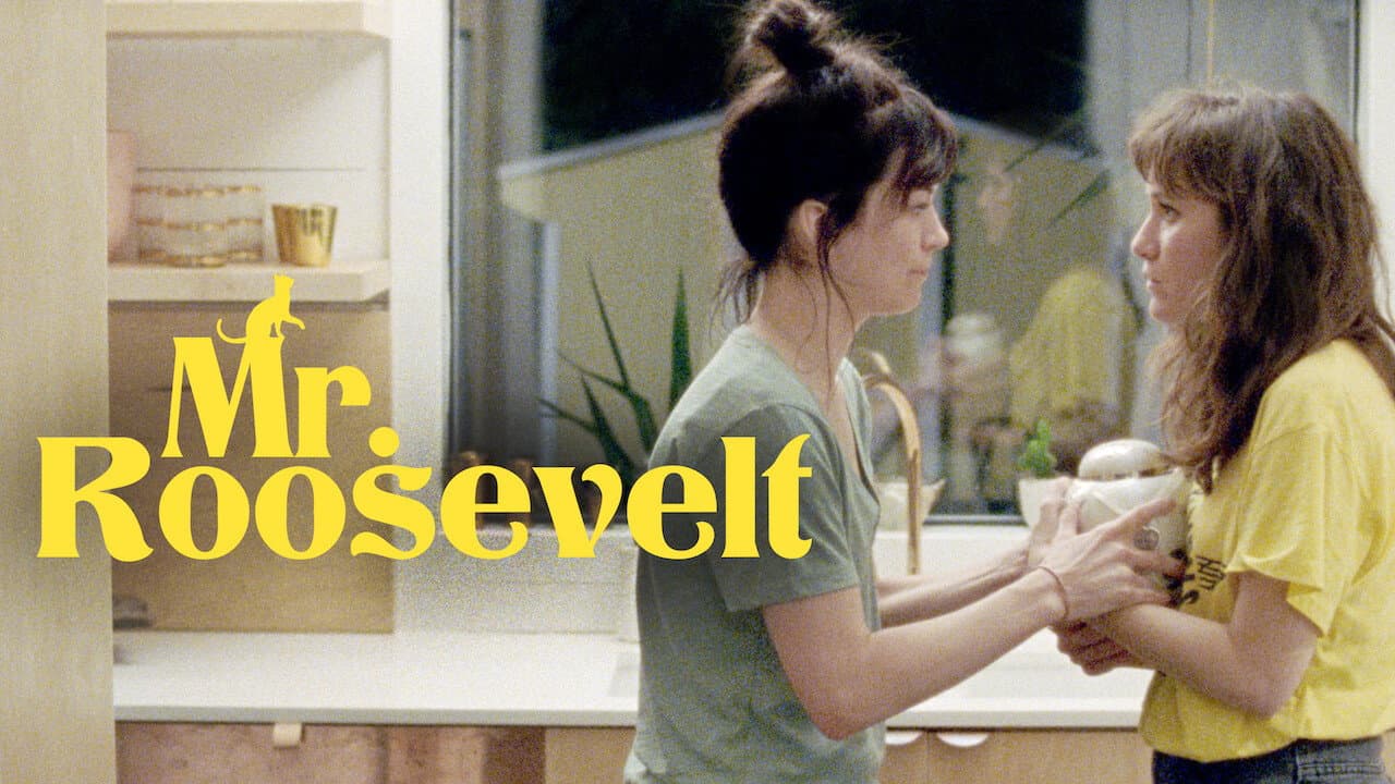 Mr. Roosevelt - immagine