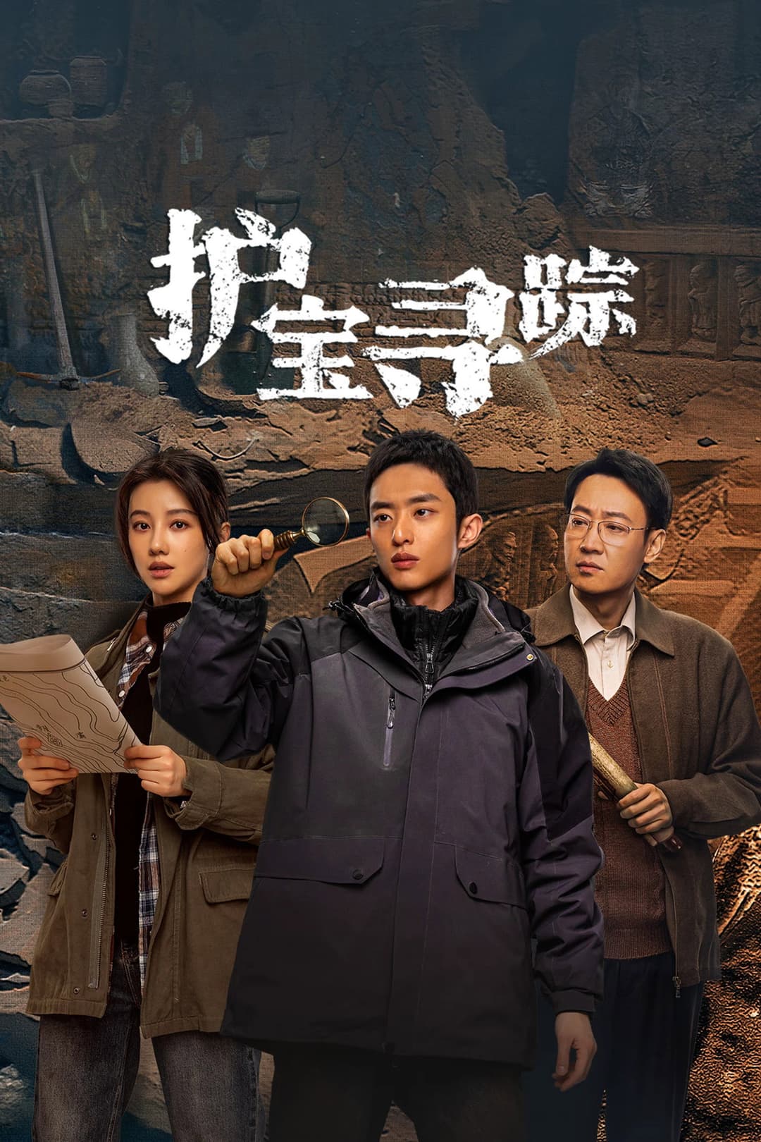 Poster di 护宝寻踪