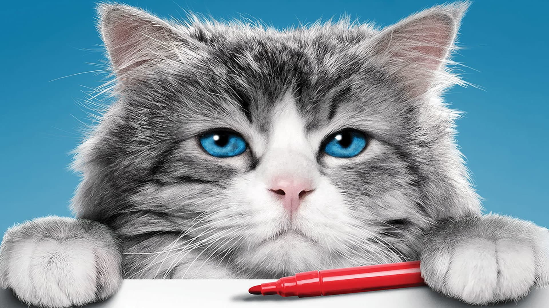 Una vita da gatto - immagine