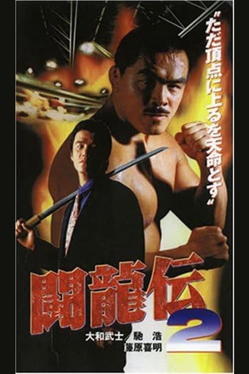 Poster di 闘龍伝２