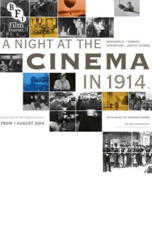 Poster di A Night at the Cinema in 1914