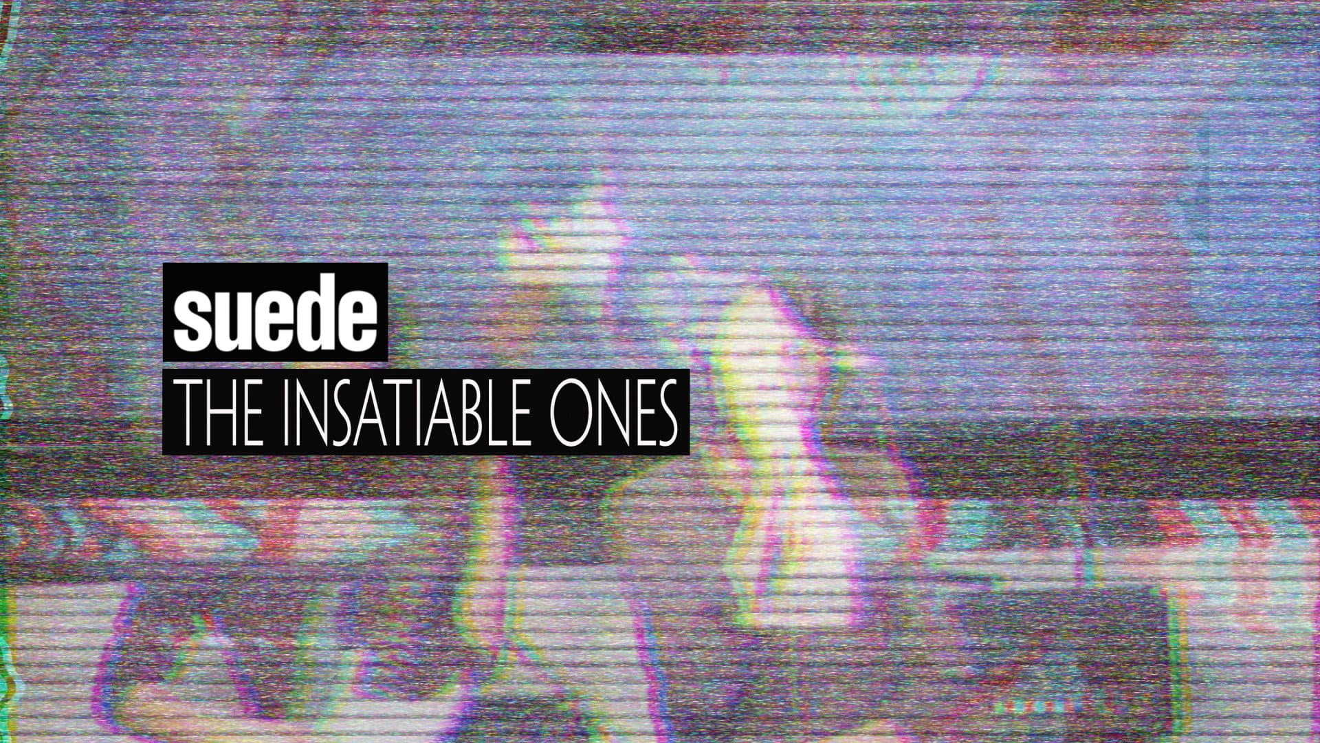 Suede: The Insatiable Ones - immagine