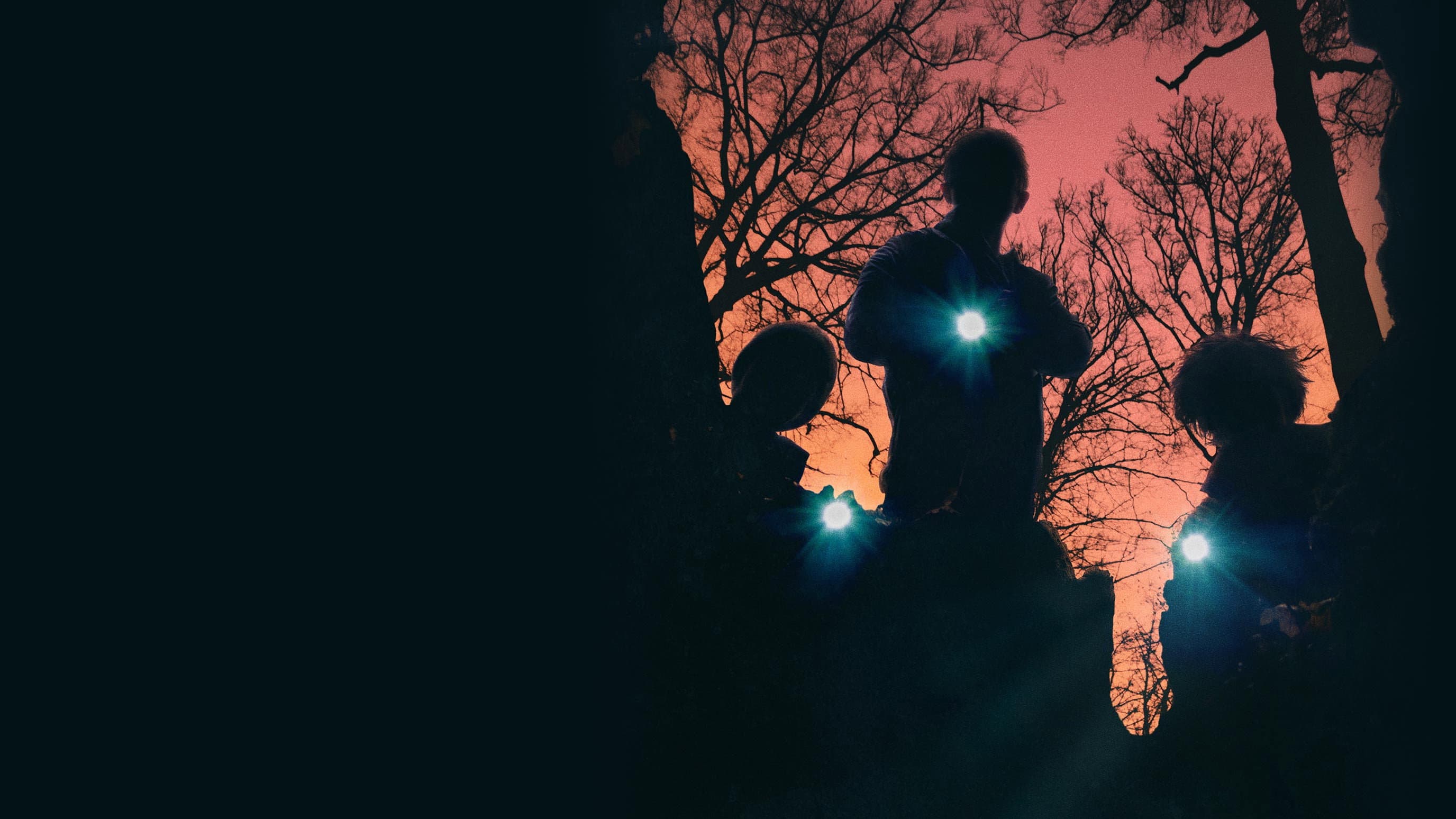 Super Dark Times - immagine