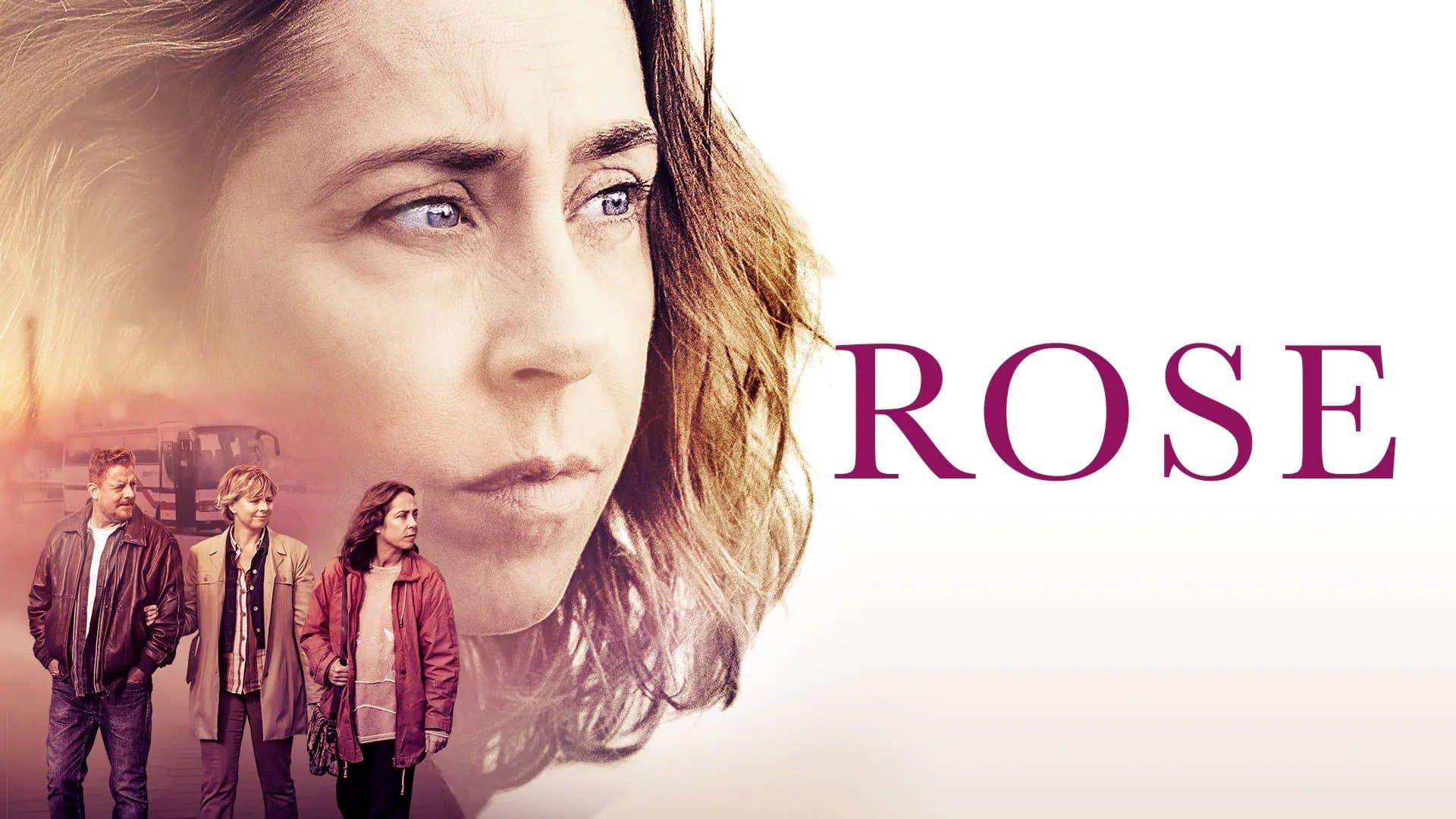 Rose - immagine