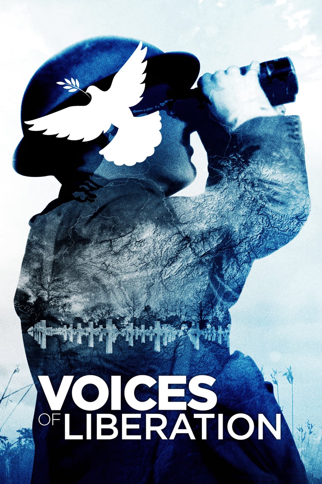 Poster di Voices of Liberation