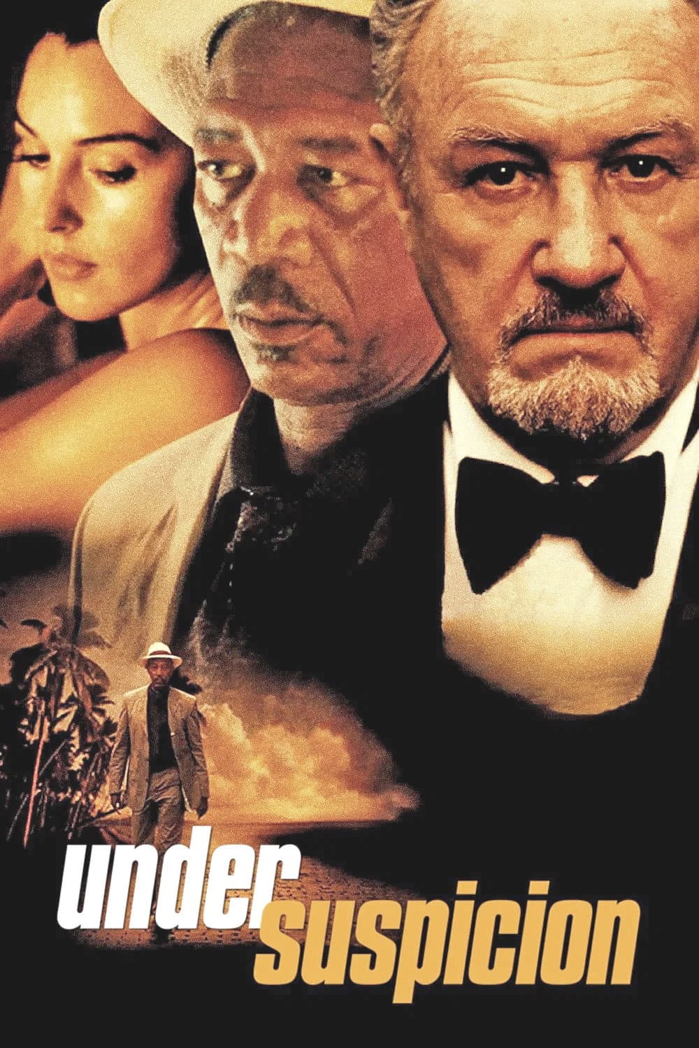 Poster di Under Suspicion