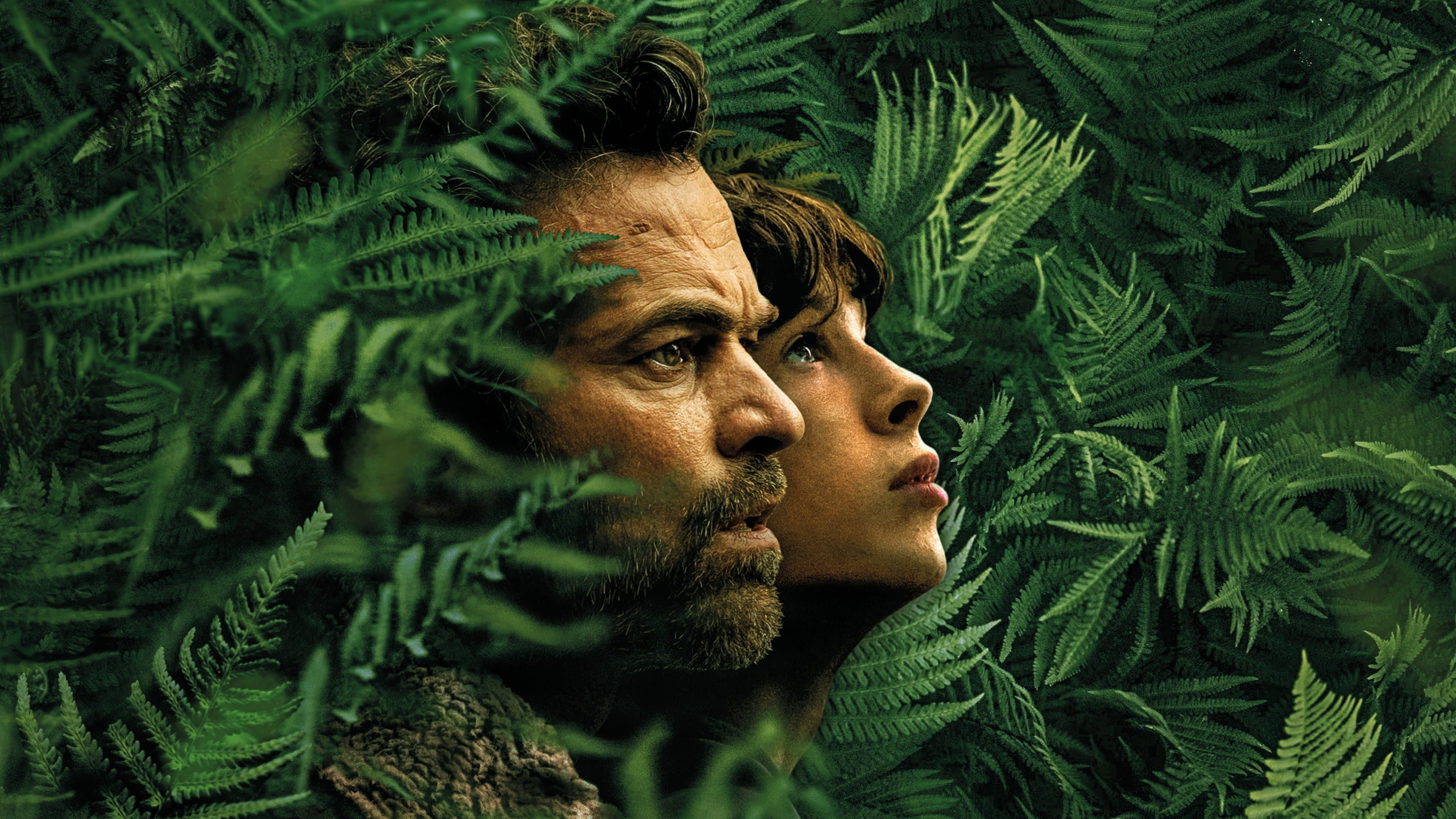 The Animal Kingdom - immagine