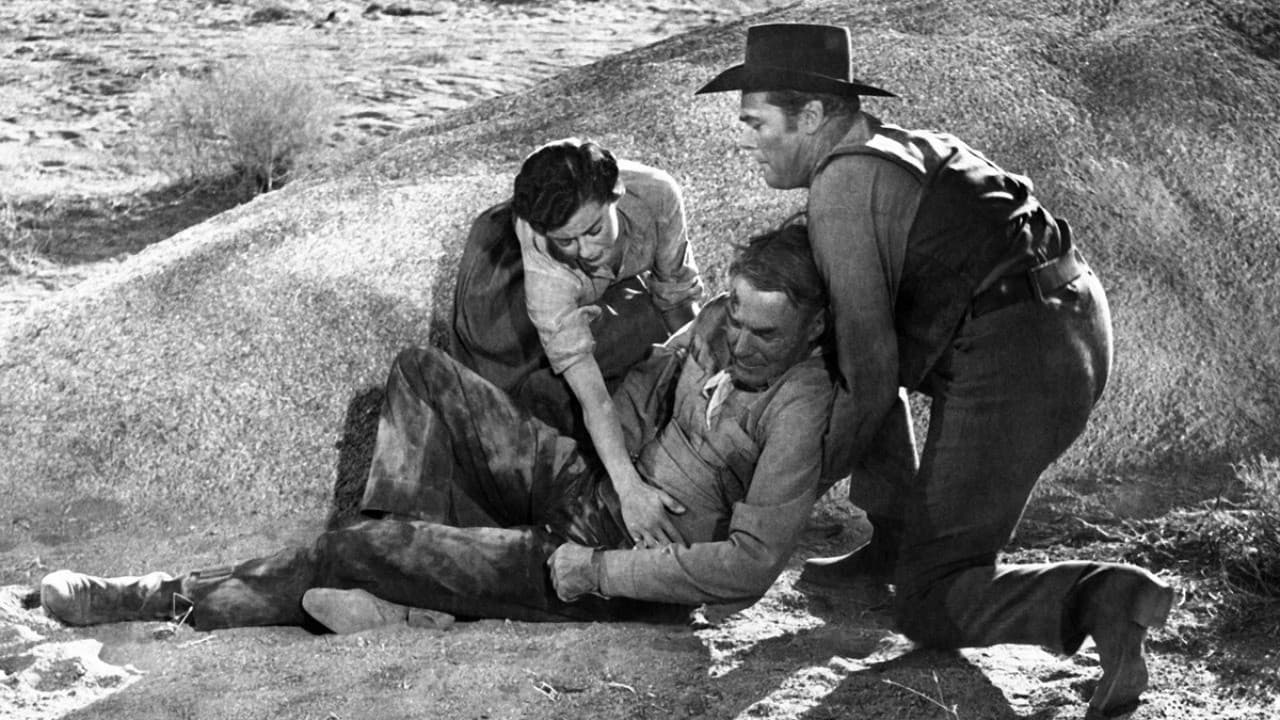 I sette assassini - immagine
