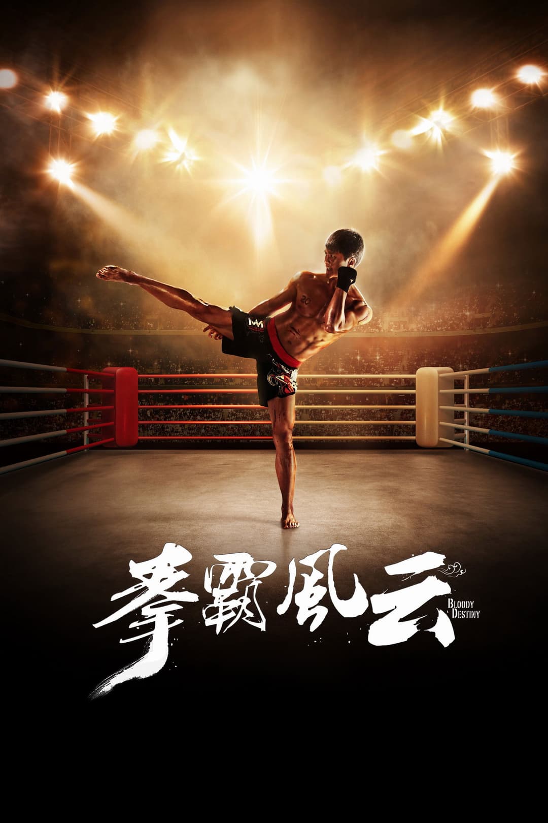 Poster di 拳霸风云