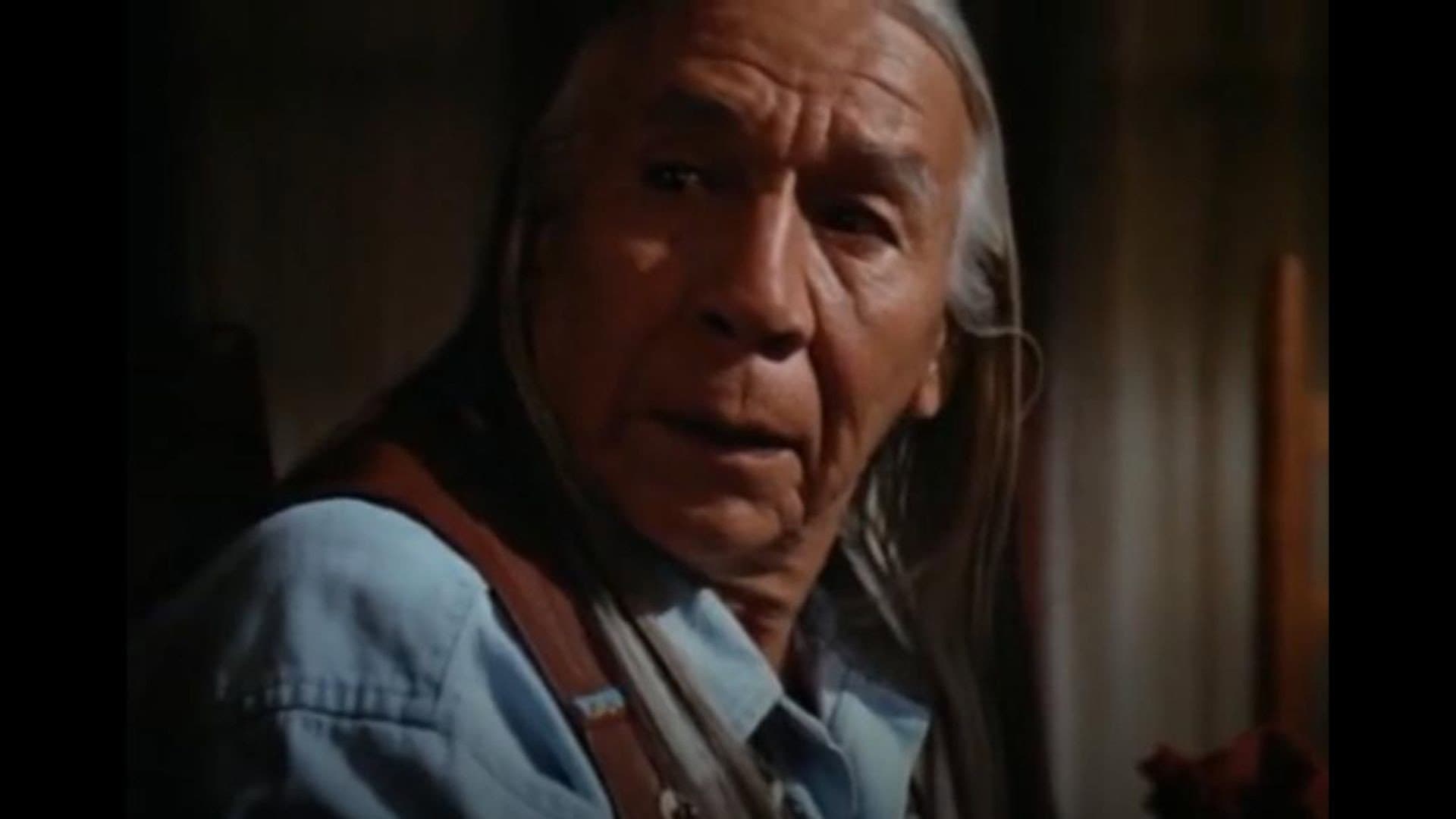 Walker Texas Ranger: Colpo grosso a Fort Worth - immagine