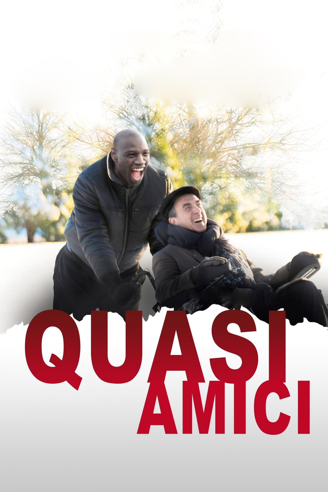 Poster di Quasi amici - Intouchables