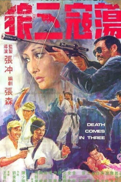 Poster di 荡寇三狼