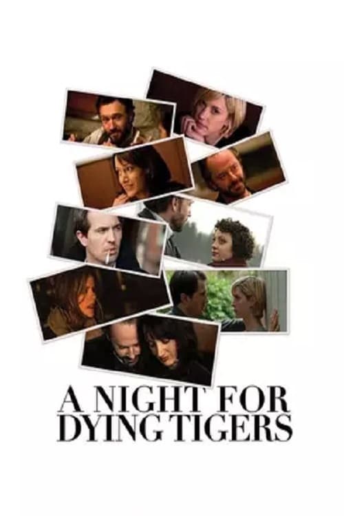 Poster di A Night for Dying Tigers