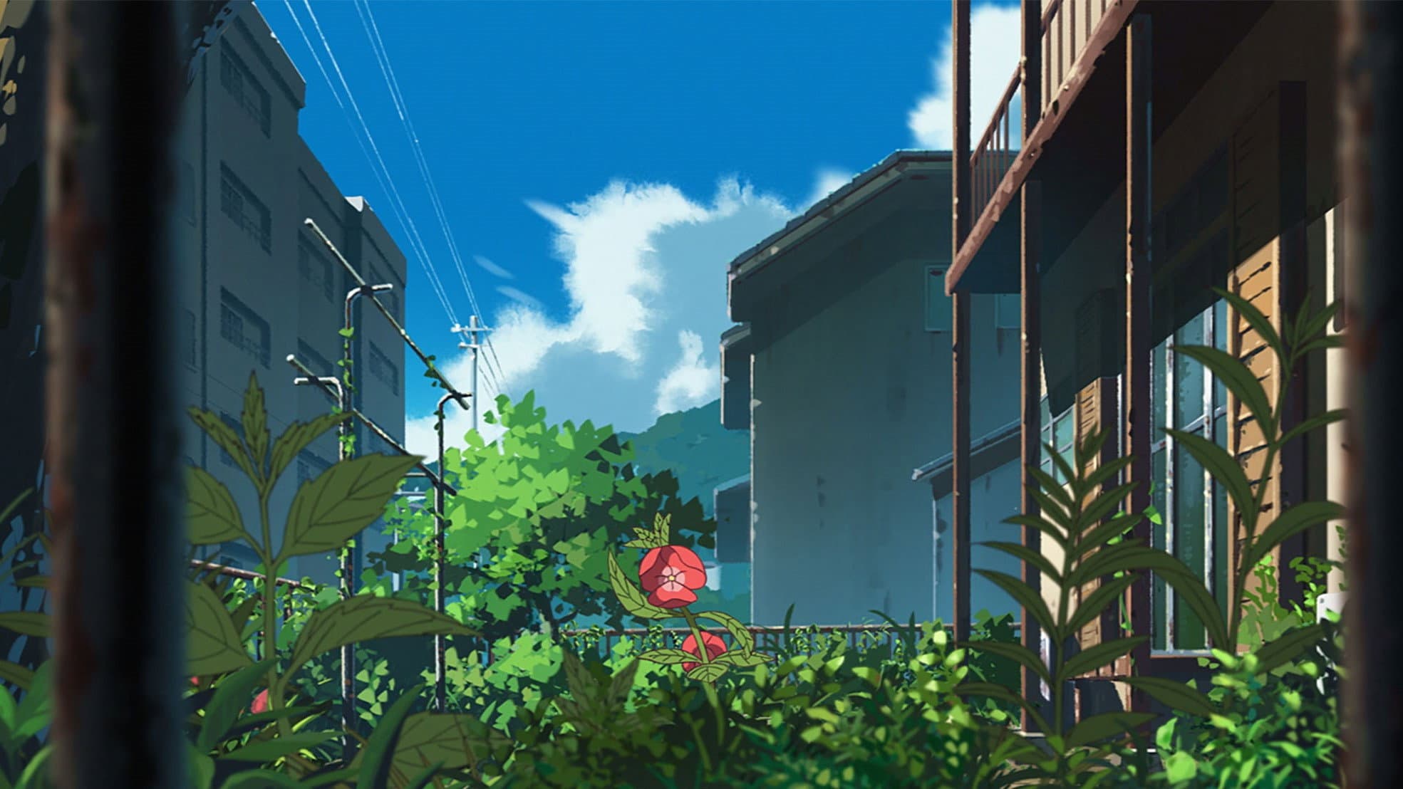 The Last Blossom - immagine