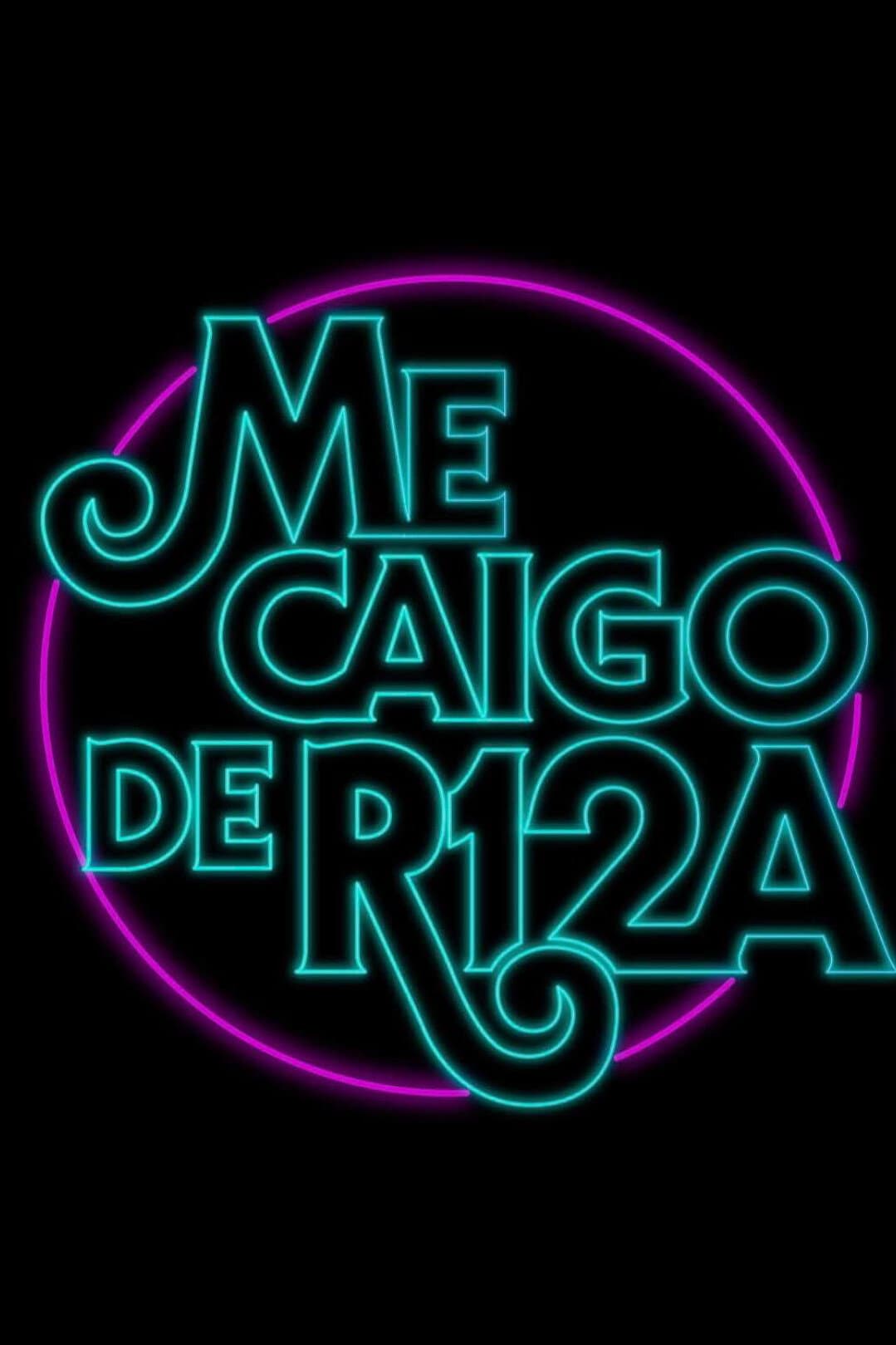 Poster di ME CAIGO DE RISA