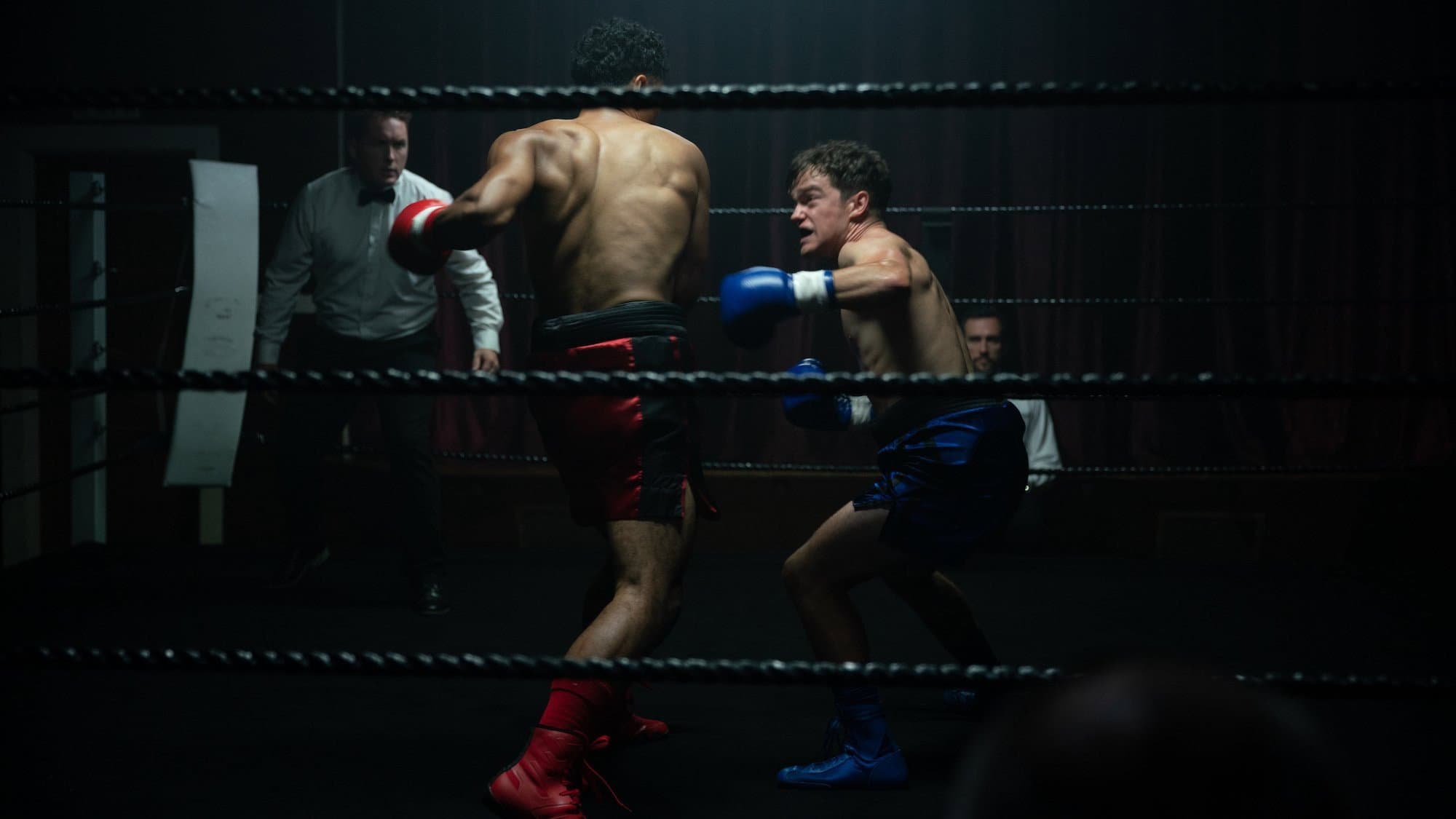 Punch - immagine