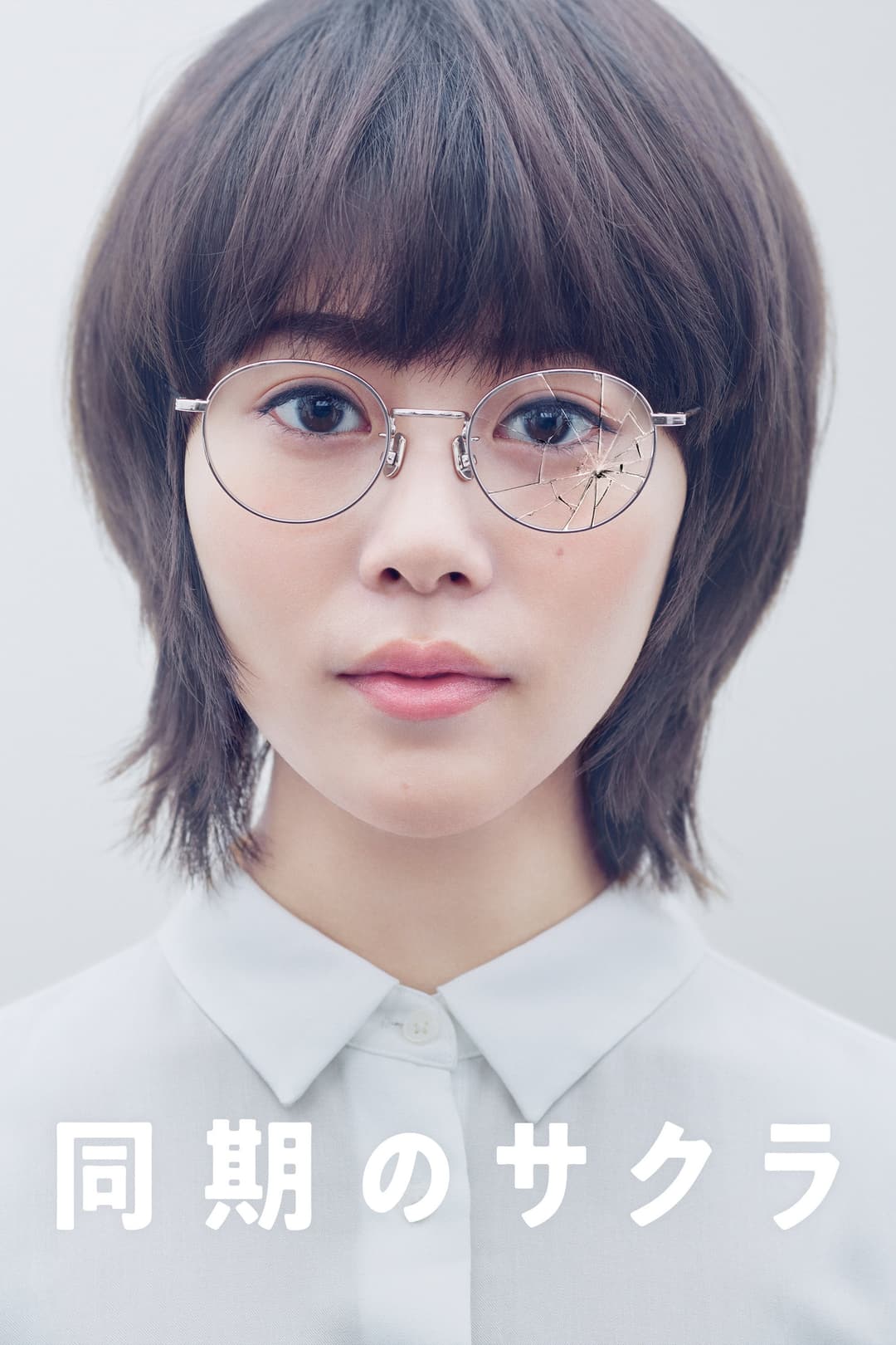 Poster di 同期のサクラ