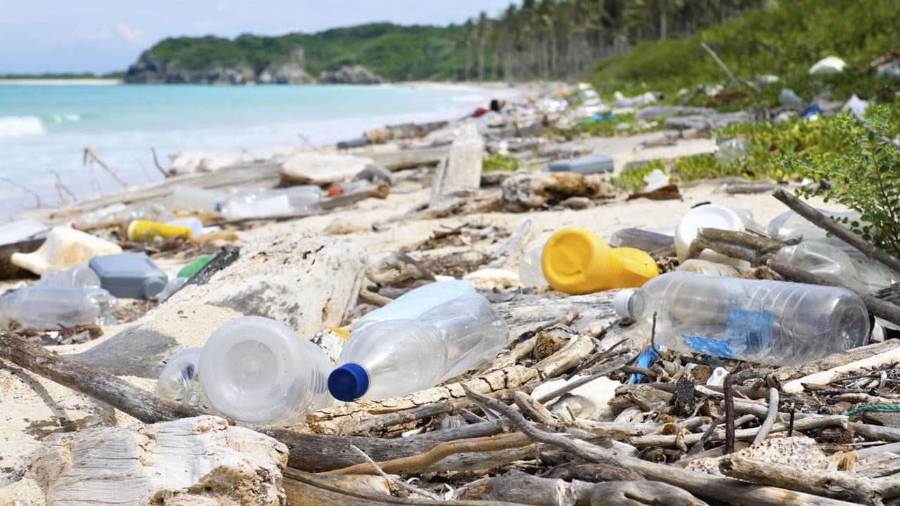 A Plastic Ocean - immagine