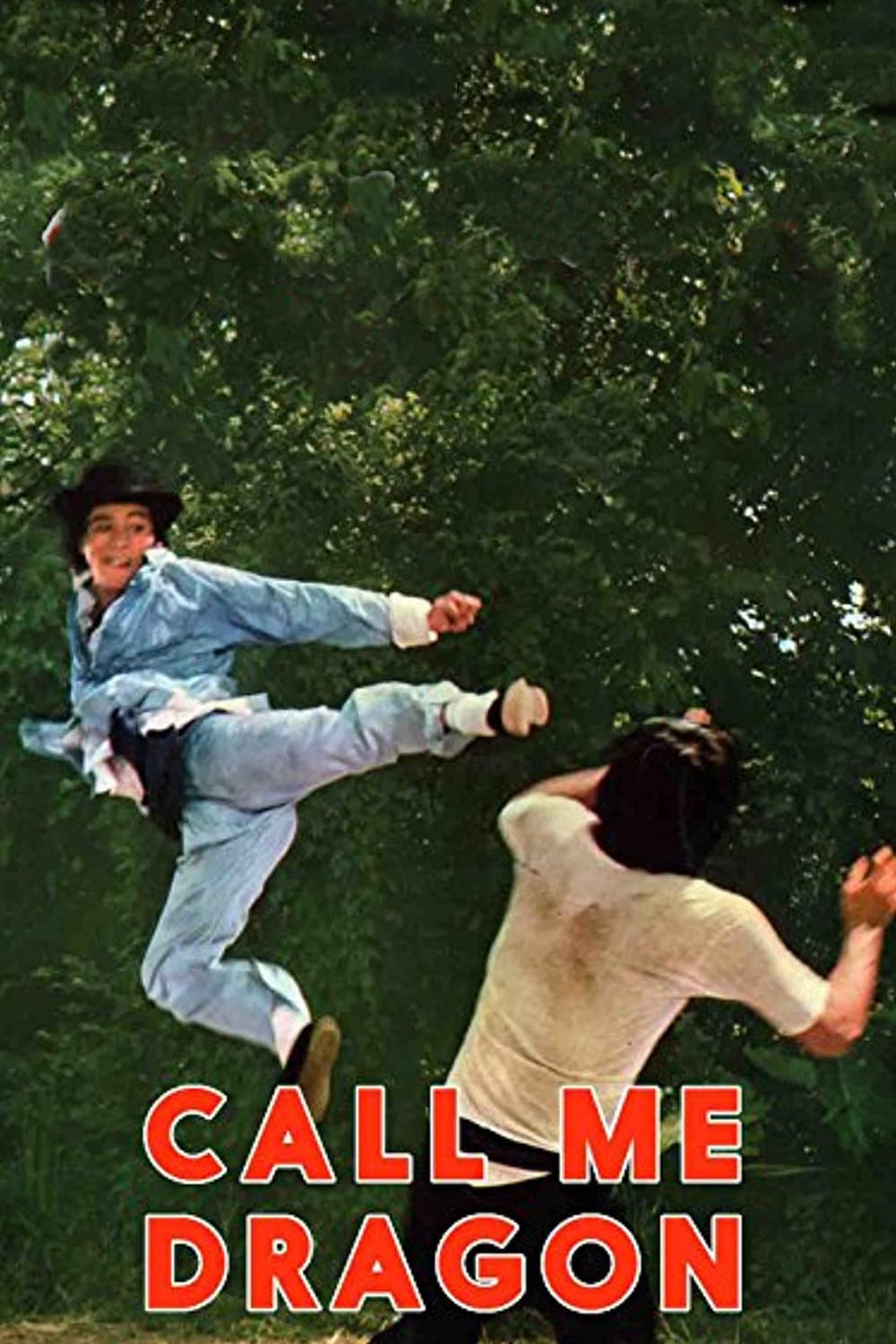 Poster di 神龍小虎闖江湖