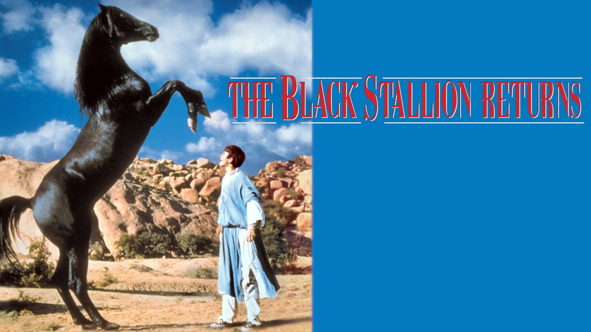 Il ritorno di Black Stallion - immagine
