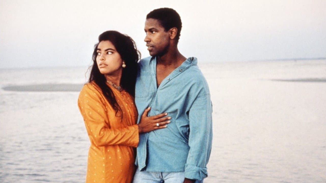 Mississippi Masala - immagine