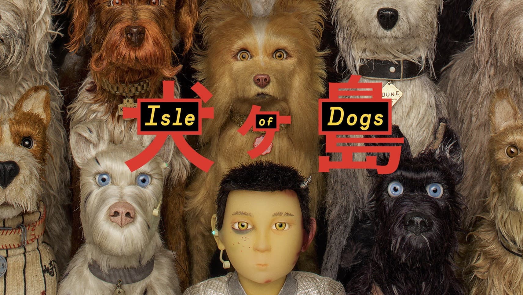 L'isola dei cani - immagine