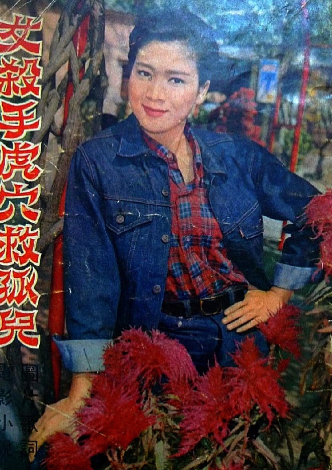 Poster di 女殺手虎穴救孤兒