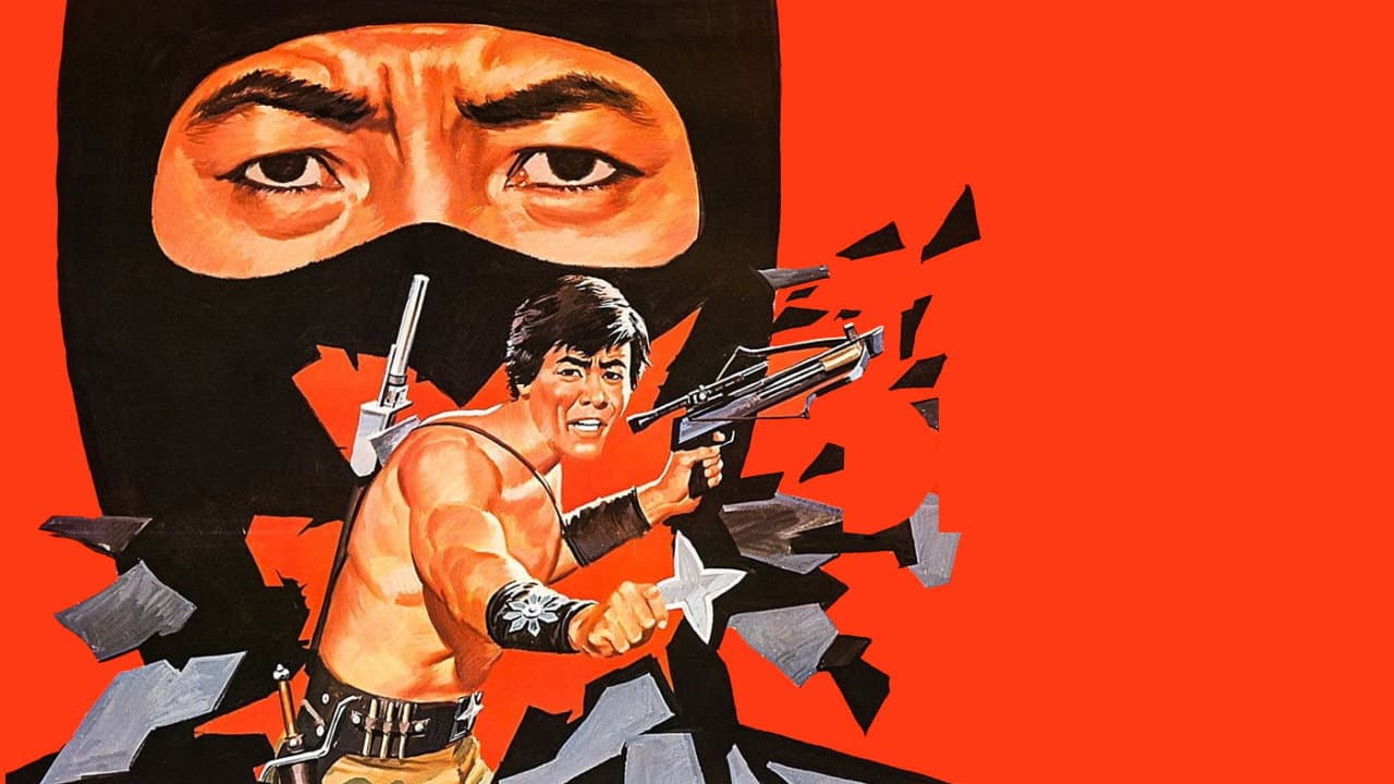 Il colpo segreto del ninja - immagine