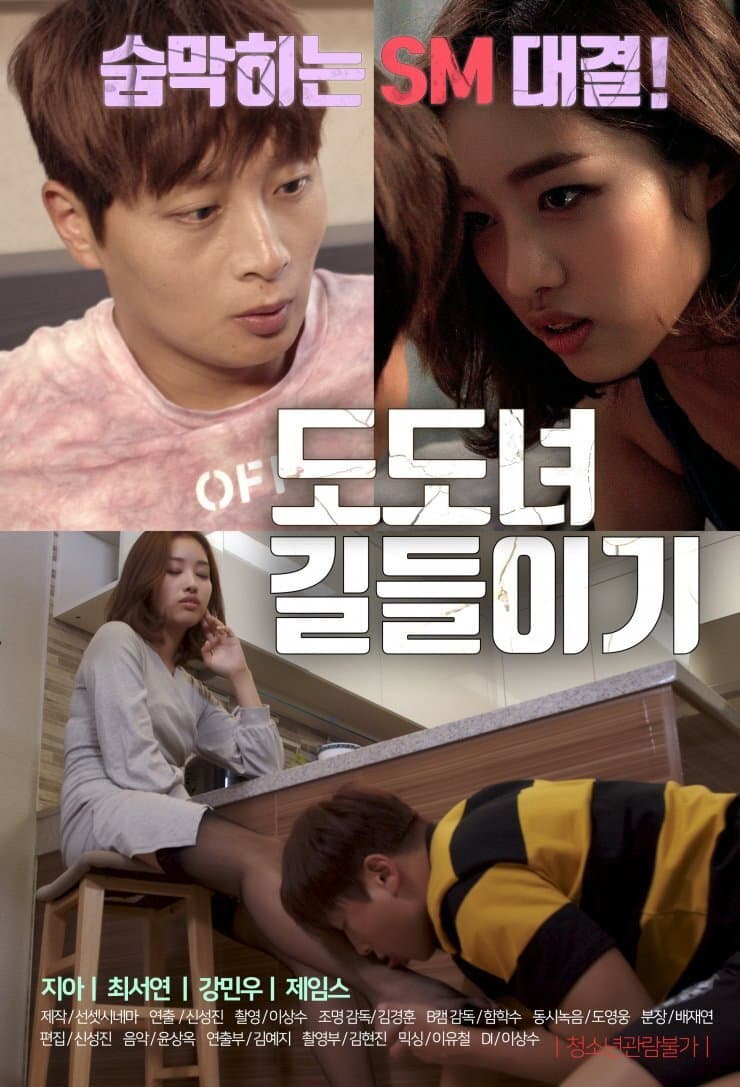 Poster di 도도녀 길들이기
