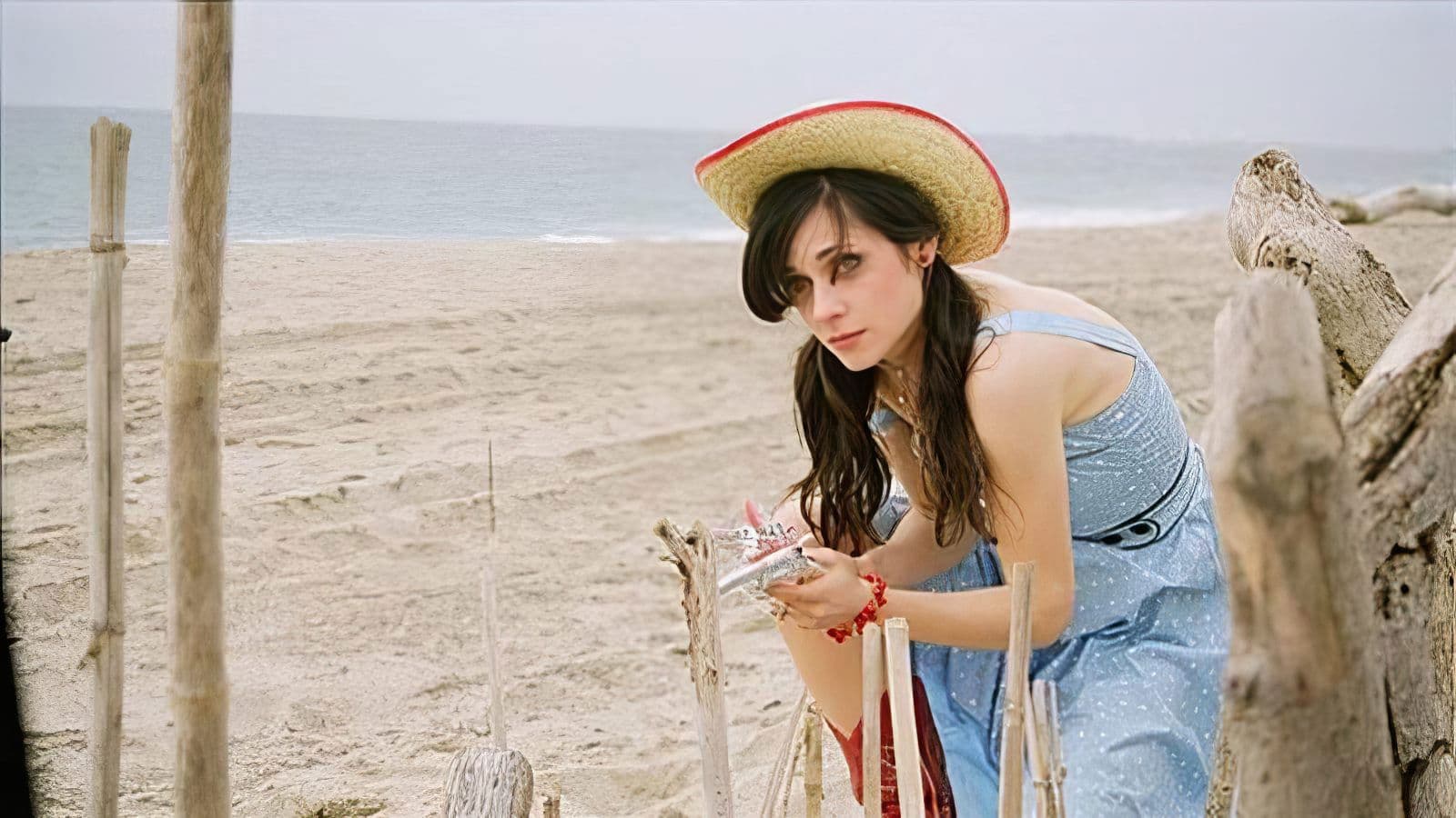 American Sunshine - immagine