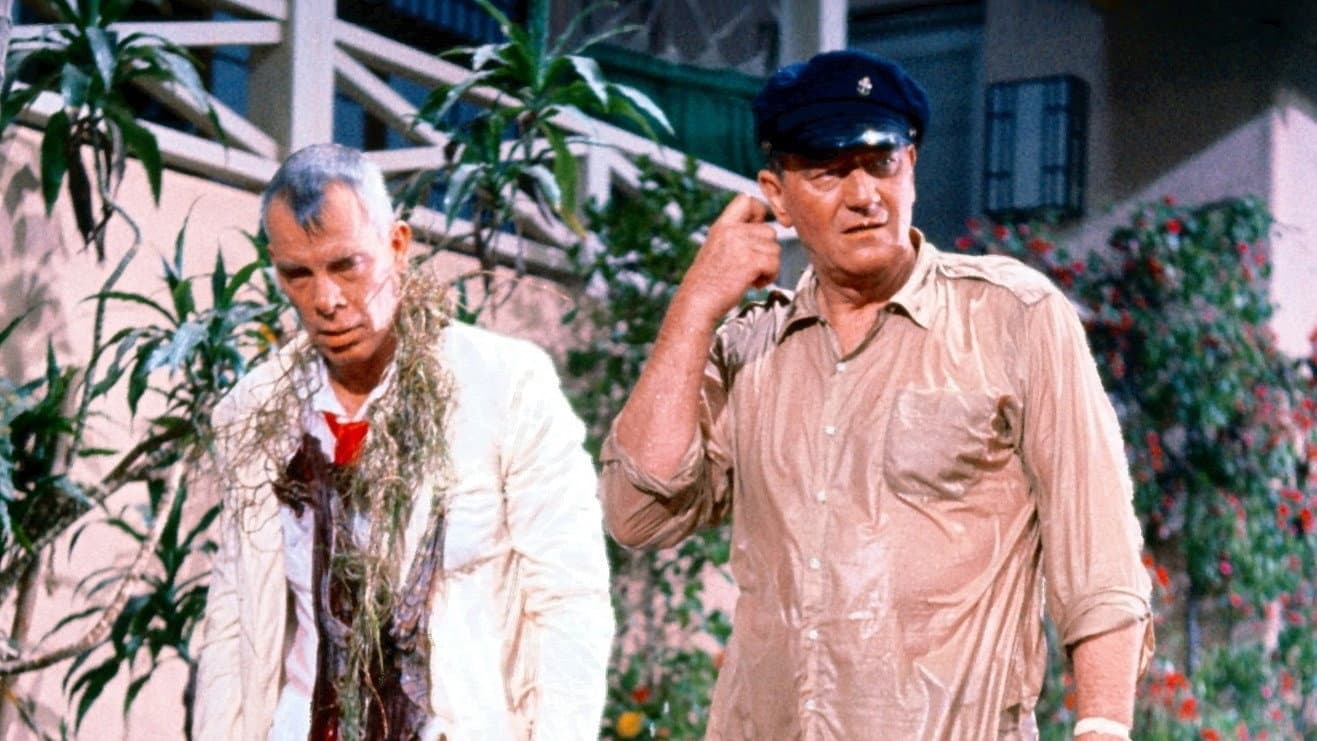 I tre della croce del Sud - immagine