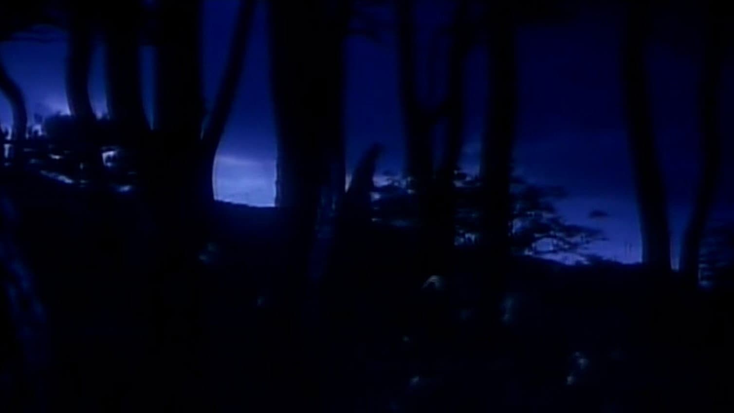 ちぎれた愛の殺人 - immagine