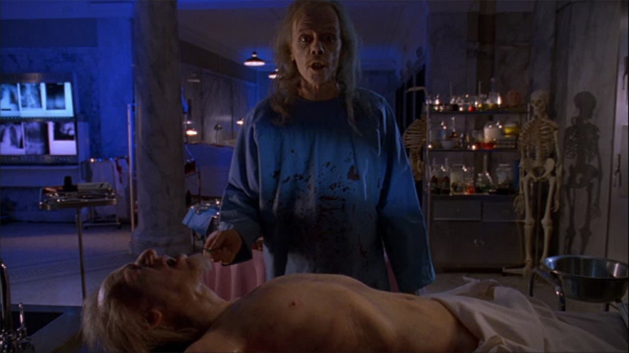 Body bags - Corpi estranei - immagine
