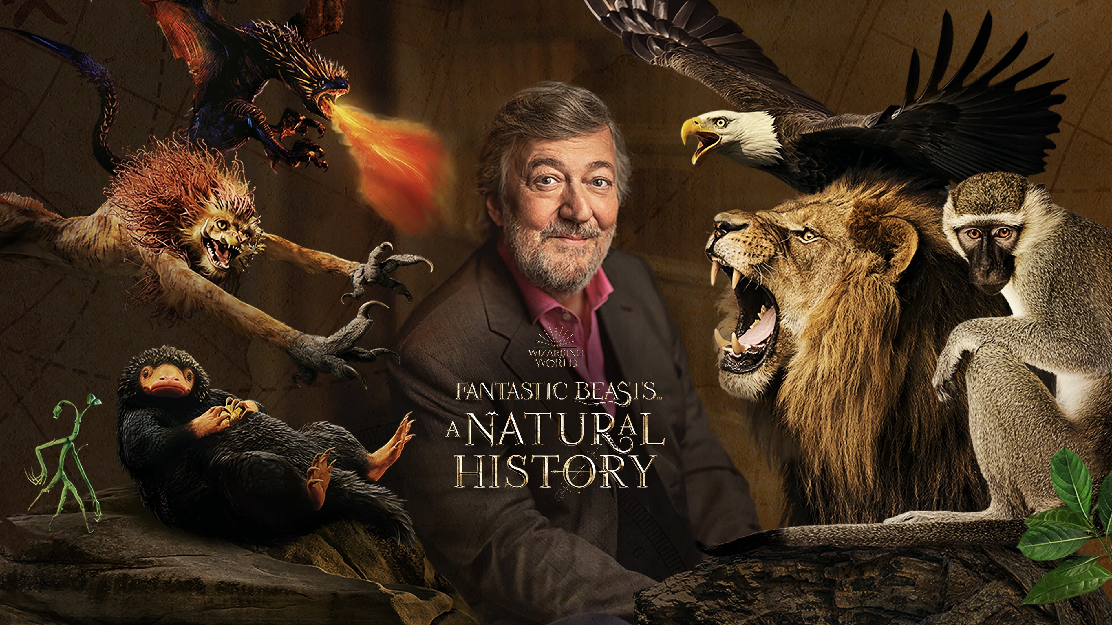 Fantastic Beasts: A Natural History - immagine