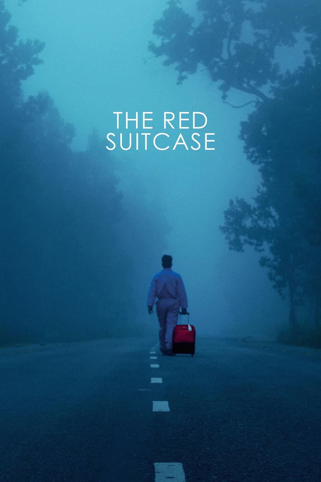 Poster di The Red Suitcase