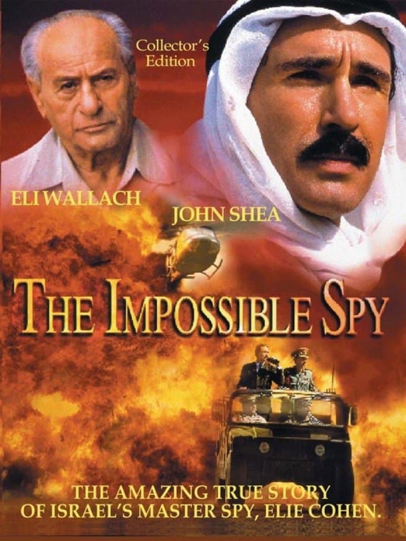 Poster di The Impossible Spy