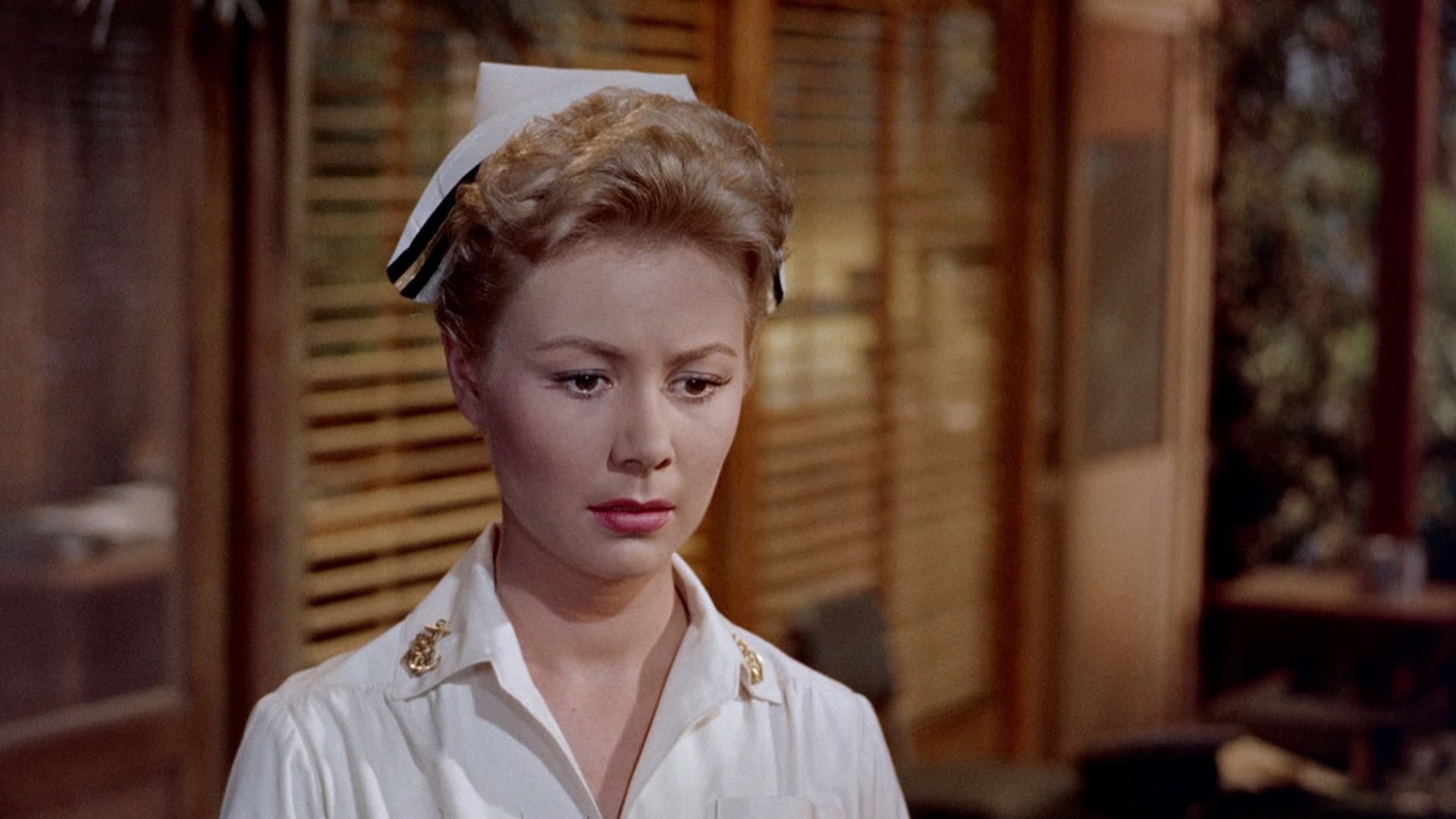South Pacific - immagine