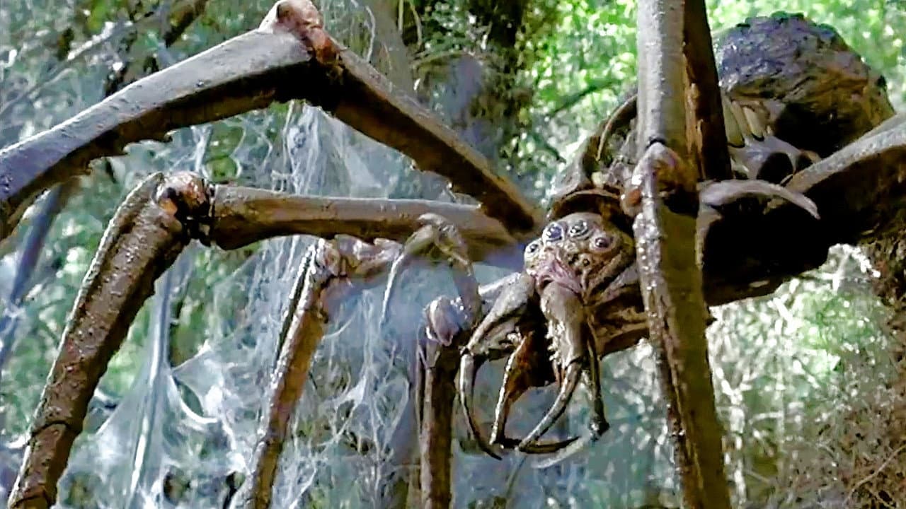 Arachnid - Il predatore - immagine