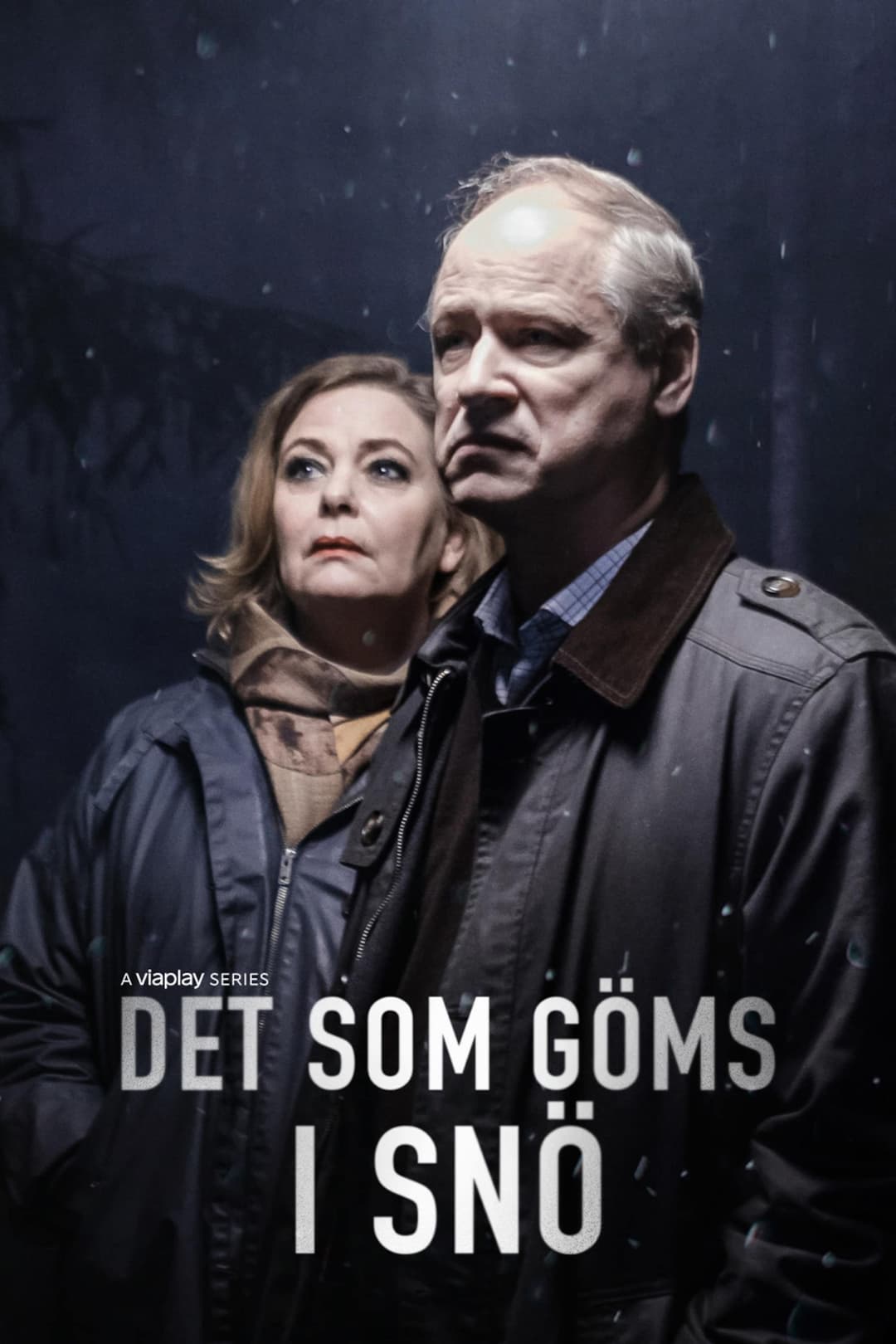 Poster di Det som göms i snö