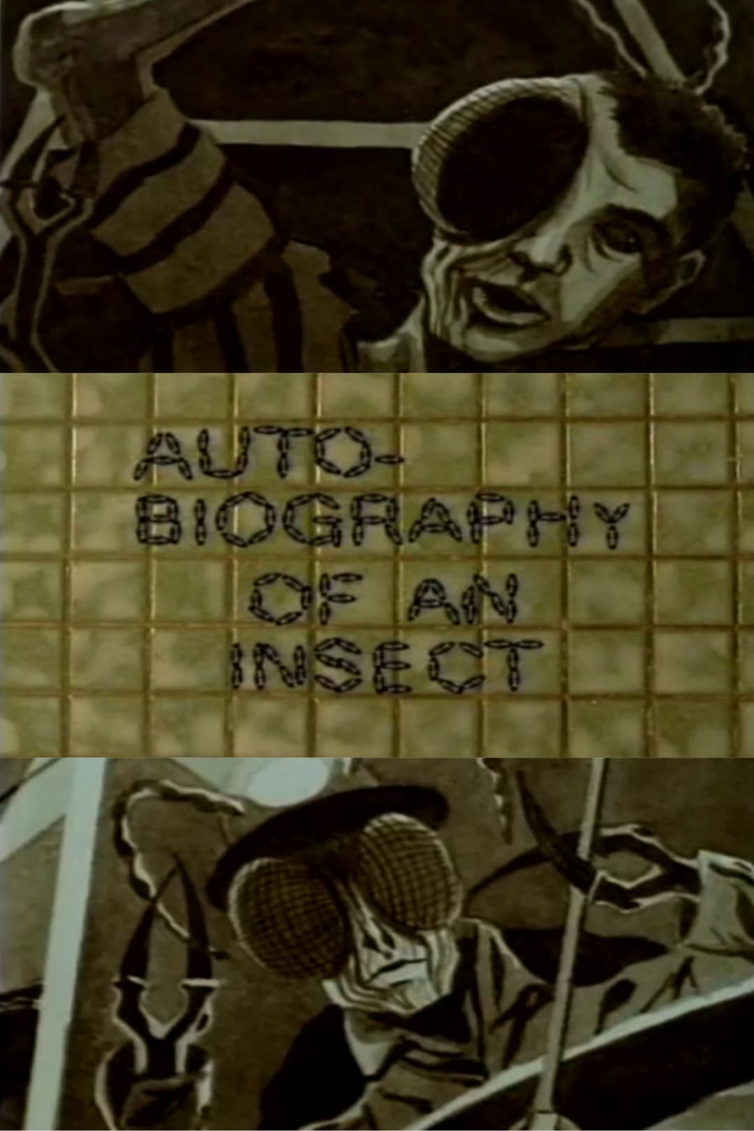 Poster di Autobiography of an Insect
