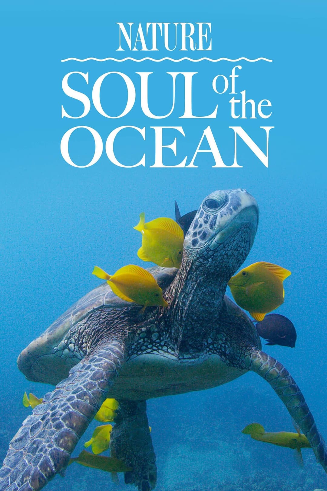 Poster di Soul of the Ocean