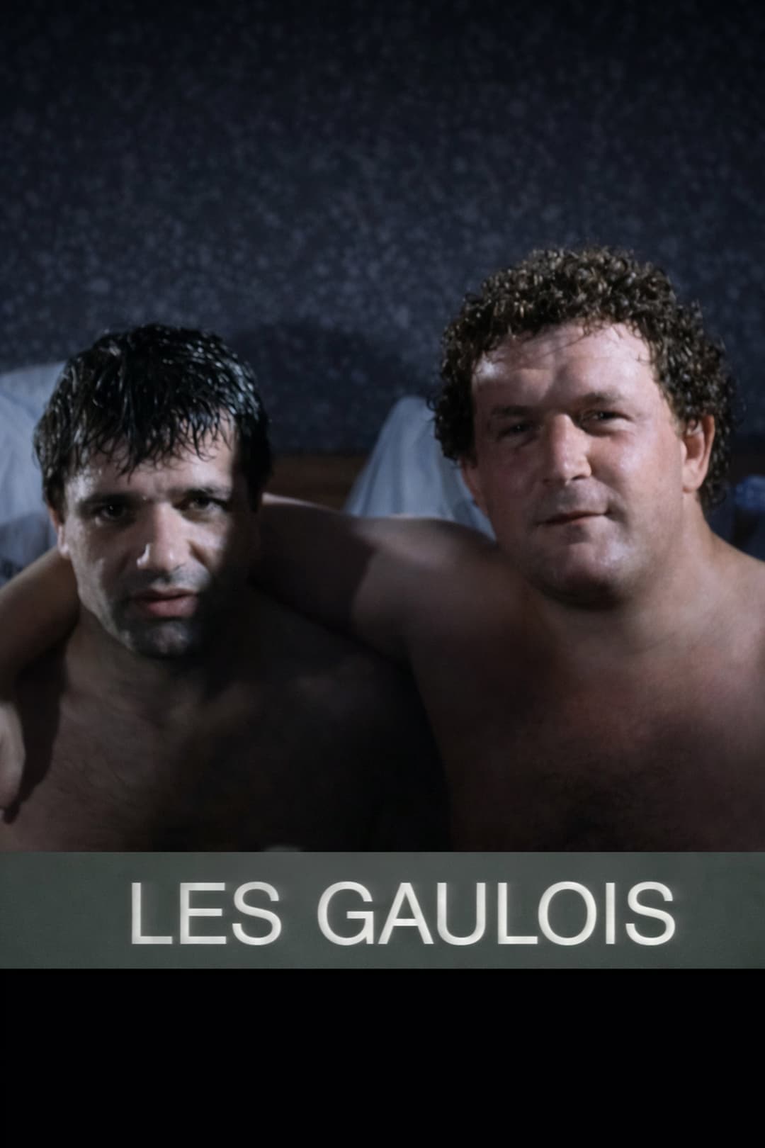 Poster di Les Gaulois