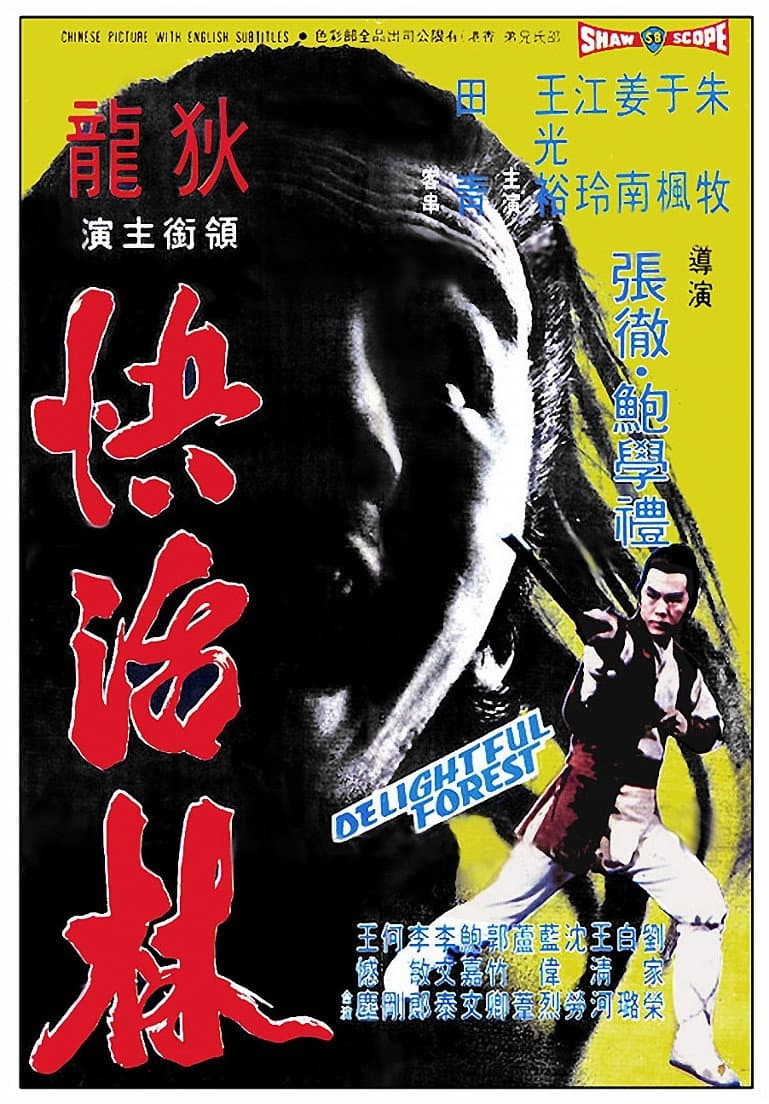 Poster di Le sette anime del drago