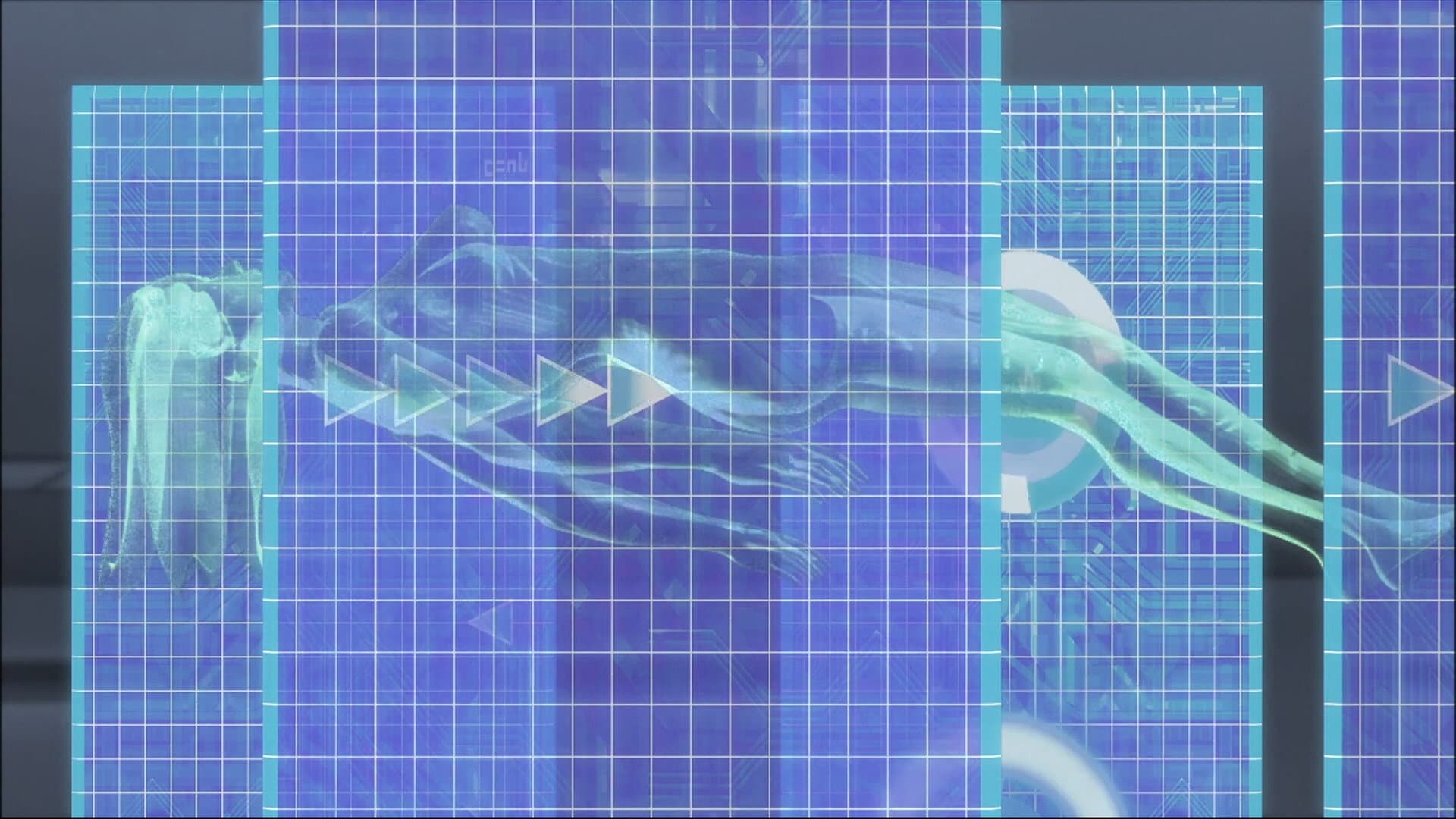 ロックマンエグゼ 光と闇の遺産（プログラム） - immagine