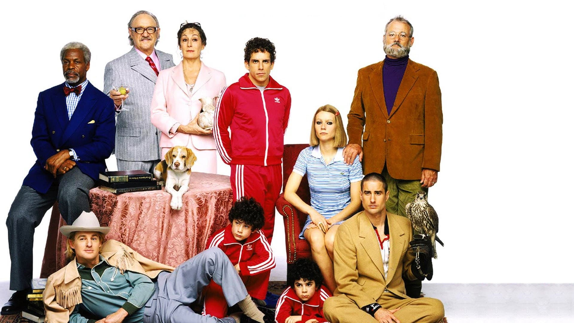 I Tenenbaum - immagine
