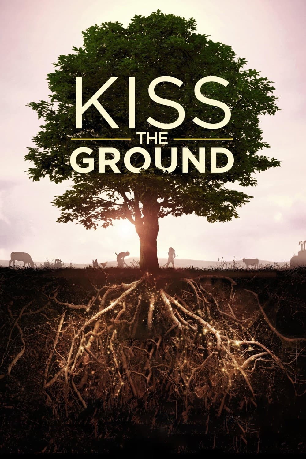 Poster di Kiss the Ground